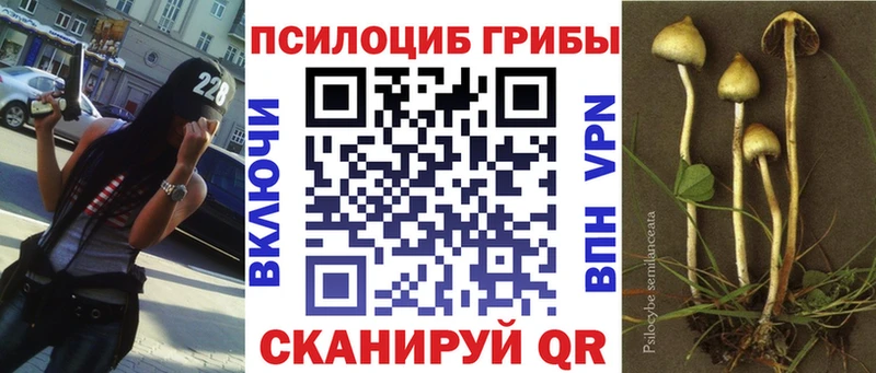 Галлюциногенные грибы Magic Shrooms MEGA как войти Киселёвск